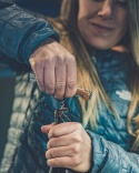 Multitool Gerber ArmBar Cork onyx blister
