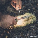 Nóż Gerber Ultimate Survival